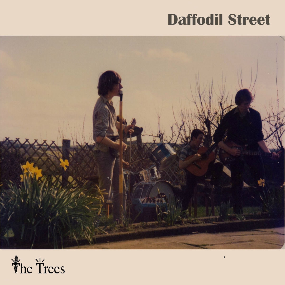 Album cover of Daffodil Street