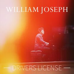 Cover of Drivers License