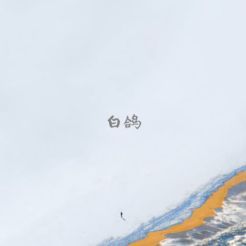 白鸽