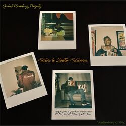 Cover of Private Life