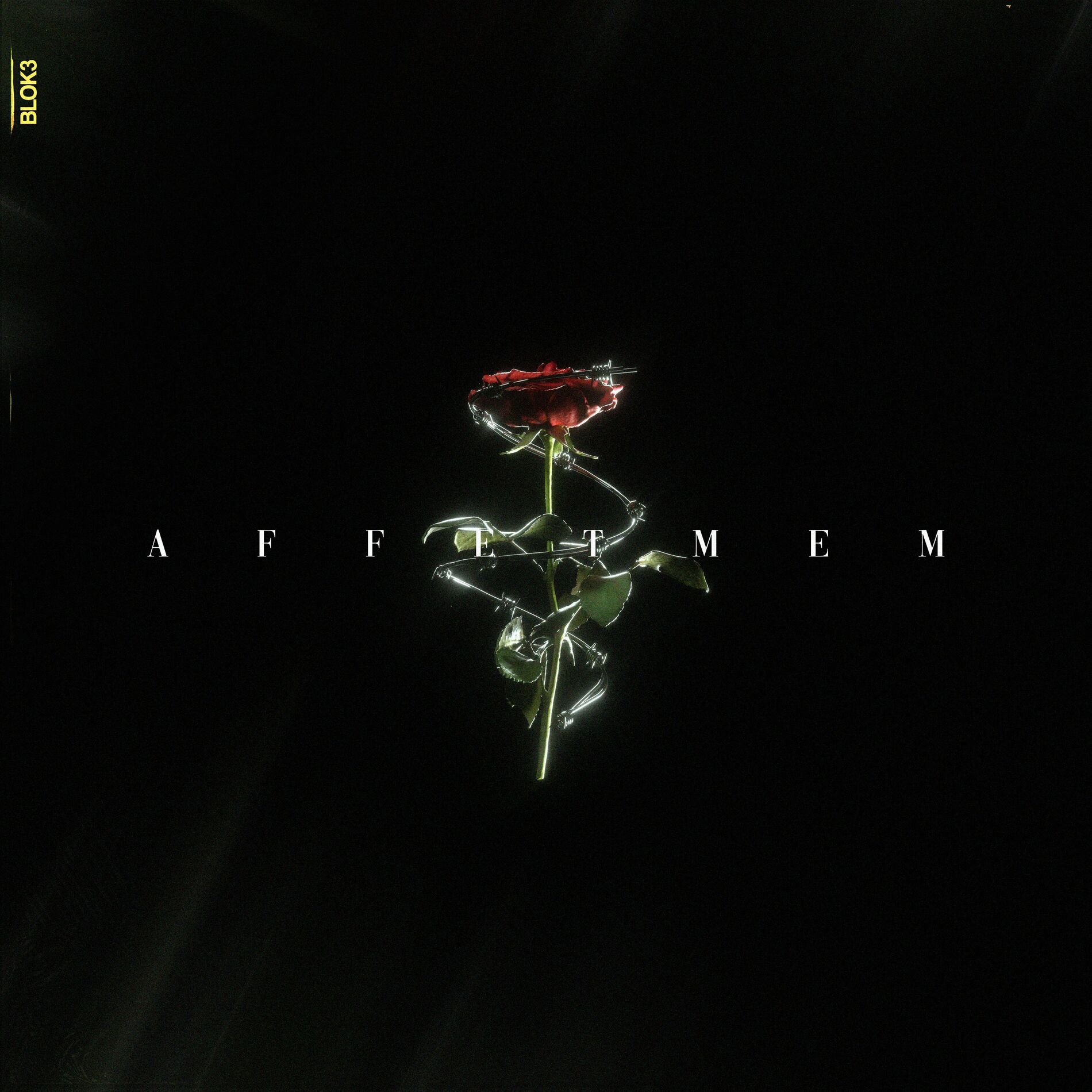 Album cover of AFFETMEM