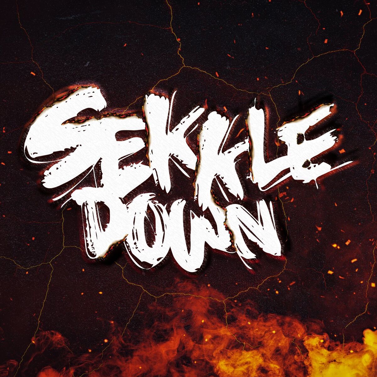 Album cover of Sekkle Down