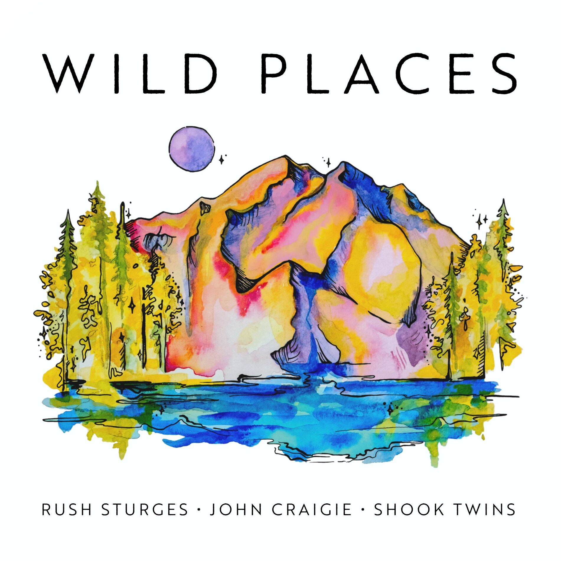 Album cover of Wild Places (feat. John Craigie & Shook Twins)