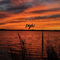 Cover of DYW