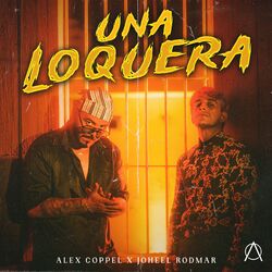 Cover of Una Loquera