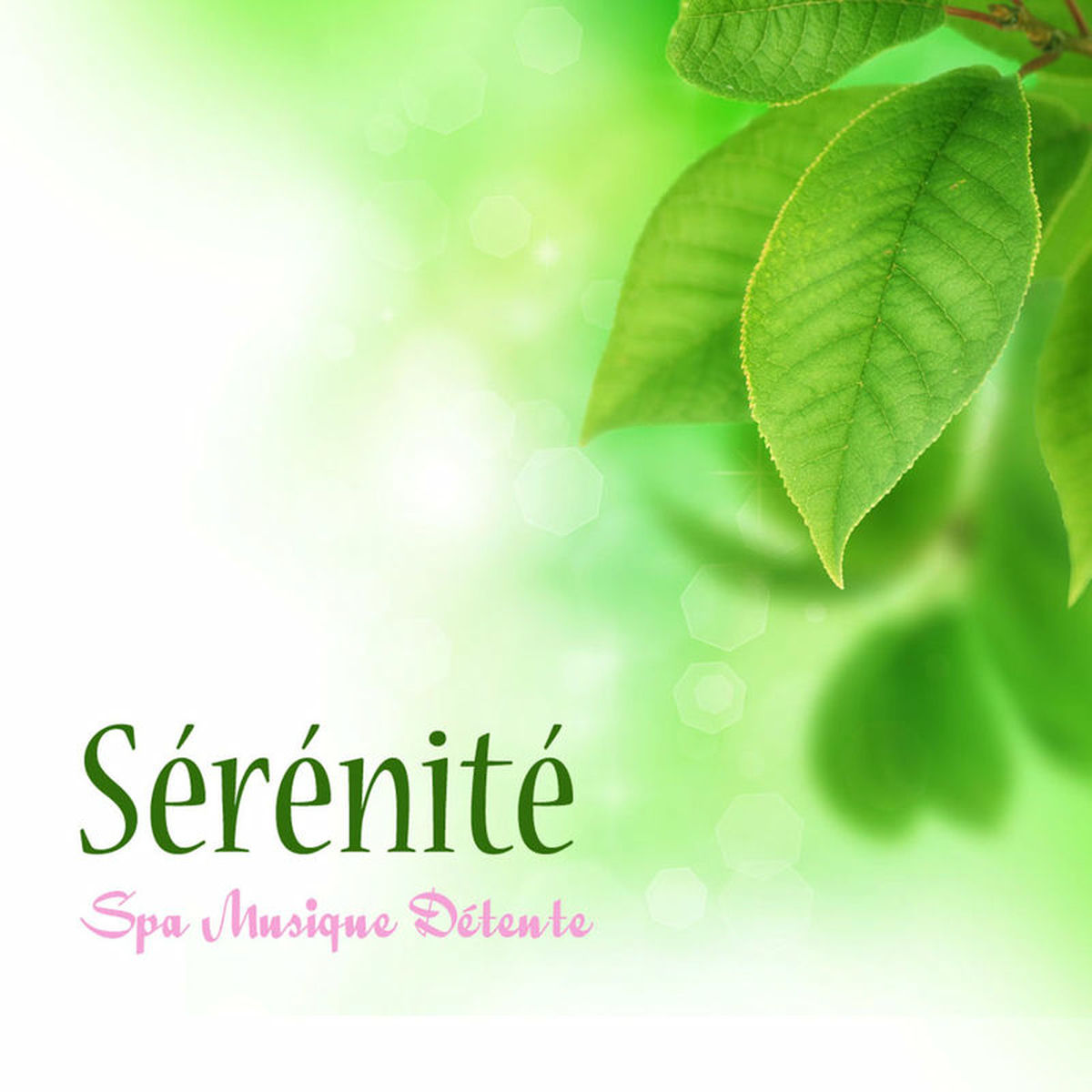 Album cover of Sérénité: Spa Musique Détente, Relaxation et Bien-Être, Musique Relaxante Anti Stress pour Massage, Méditation, Sérénité et Paix I