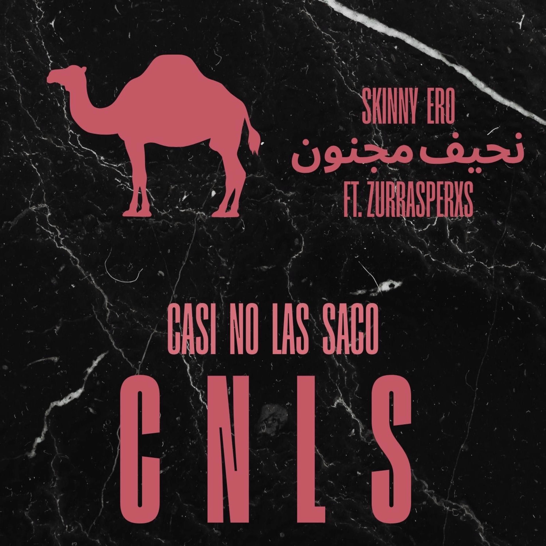 Album cover of CASI NO LAS SACO (SKINNY ERO)