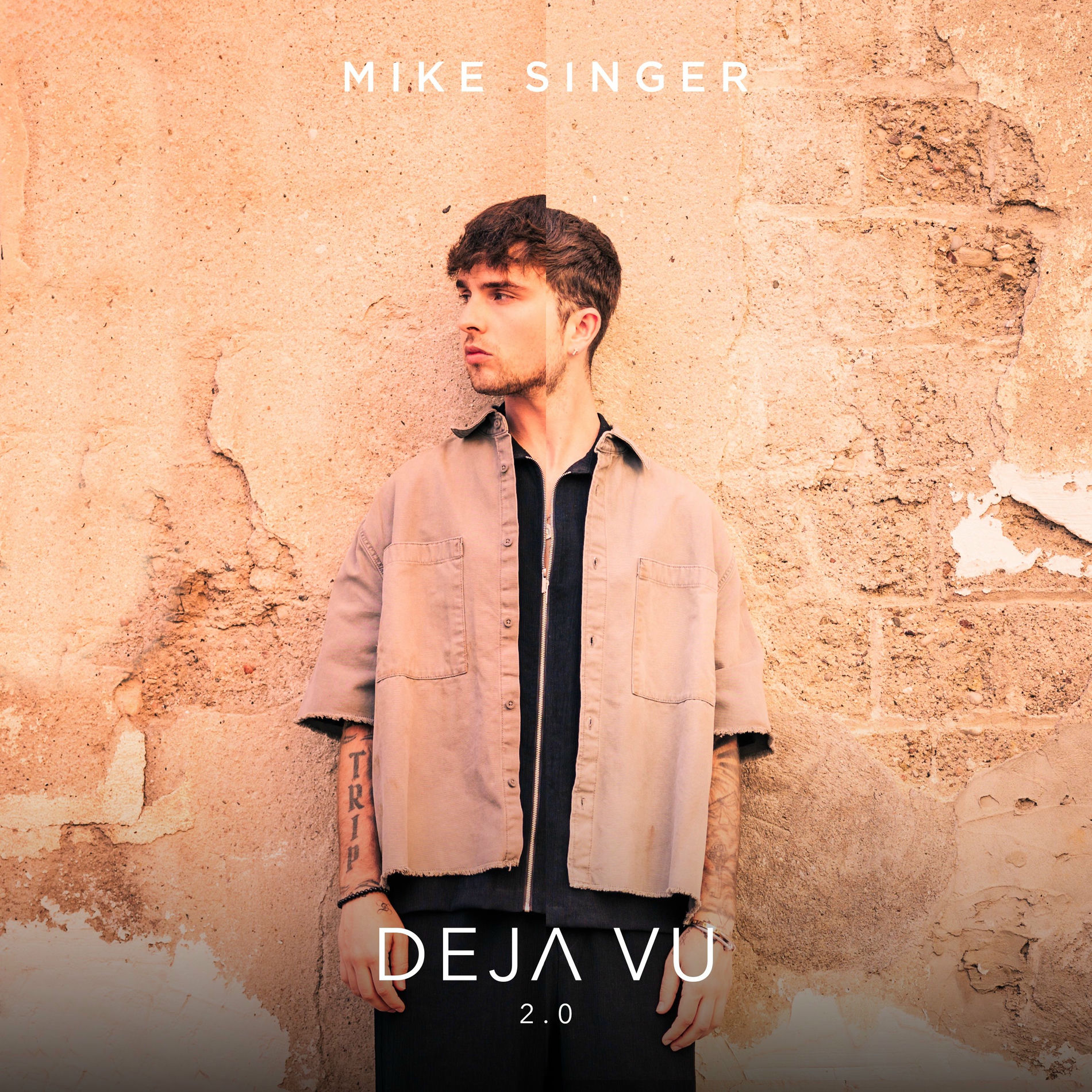 Album cover of Deja Vu 2.0