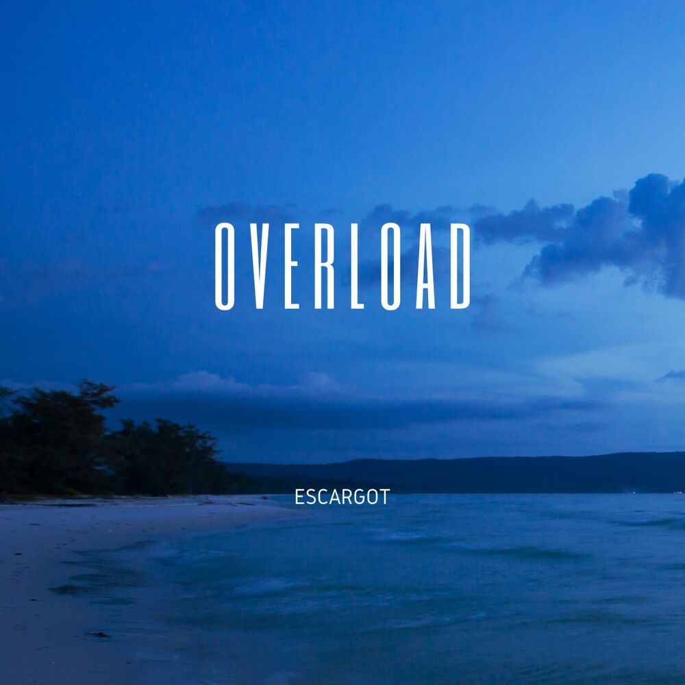 Picture of Overload