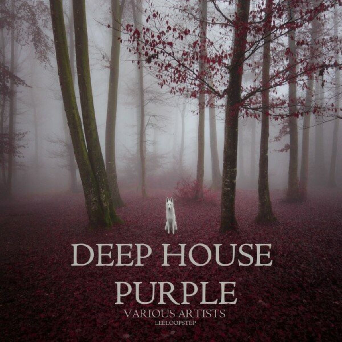 Album cover of Leeloop Deep House Purple