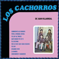 Cover of Gorrioncillo Herido