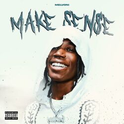 Cover of Make Sense