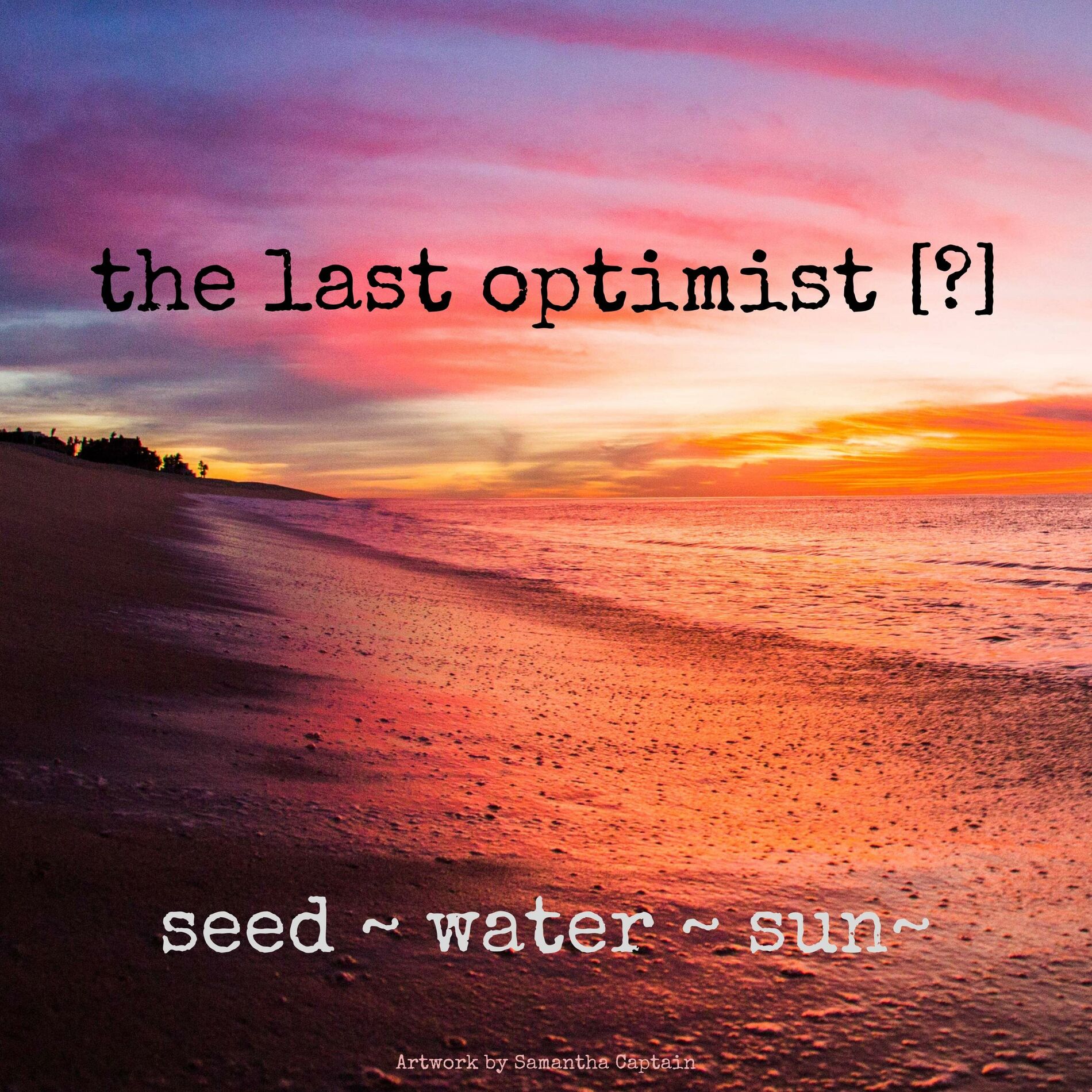 Album cover of seed water sun