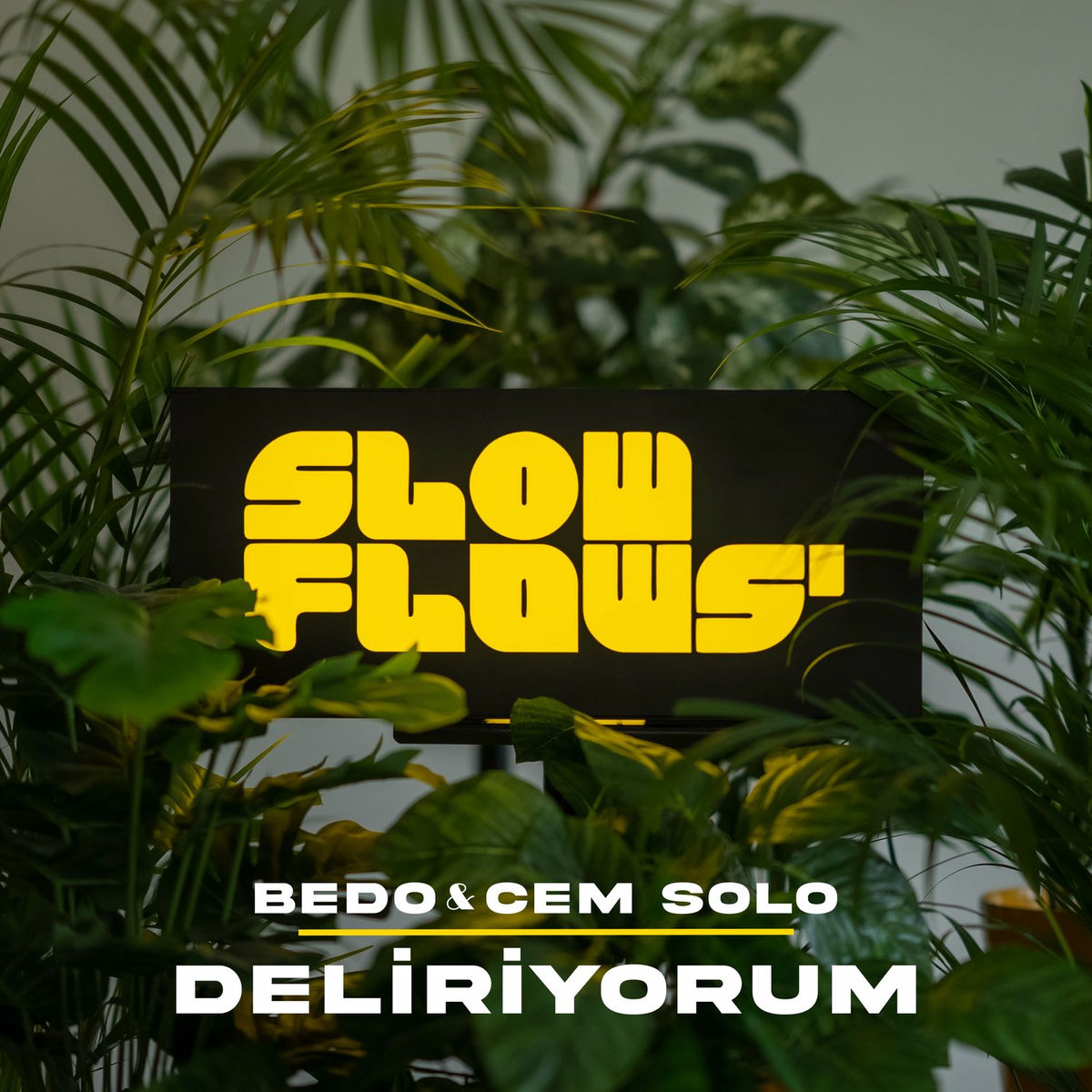Album cover of Deliriyorum