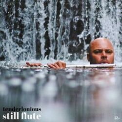 Cover of Still Flute