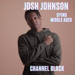 Cover of Dying Middle Aged