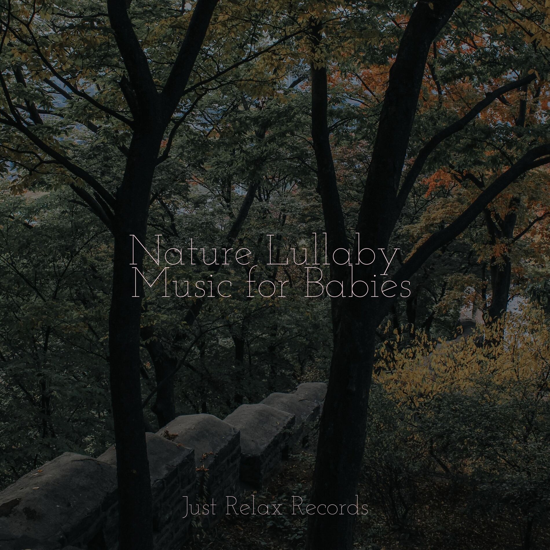 Album cover of Nature Lullaby Music for Babies