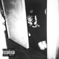 Cover of Before The Antidote