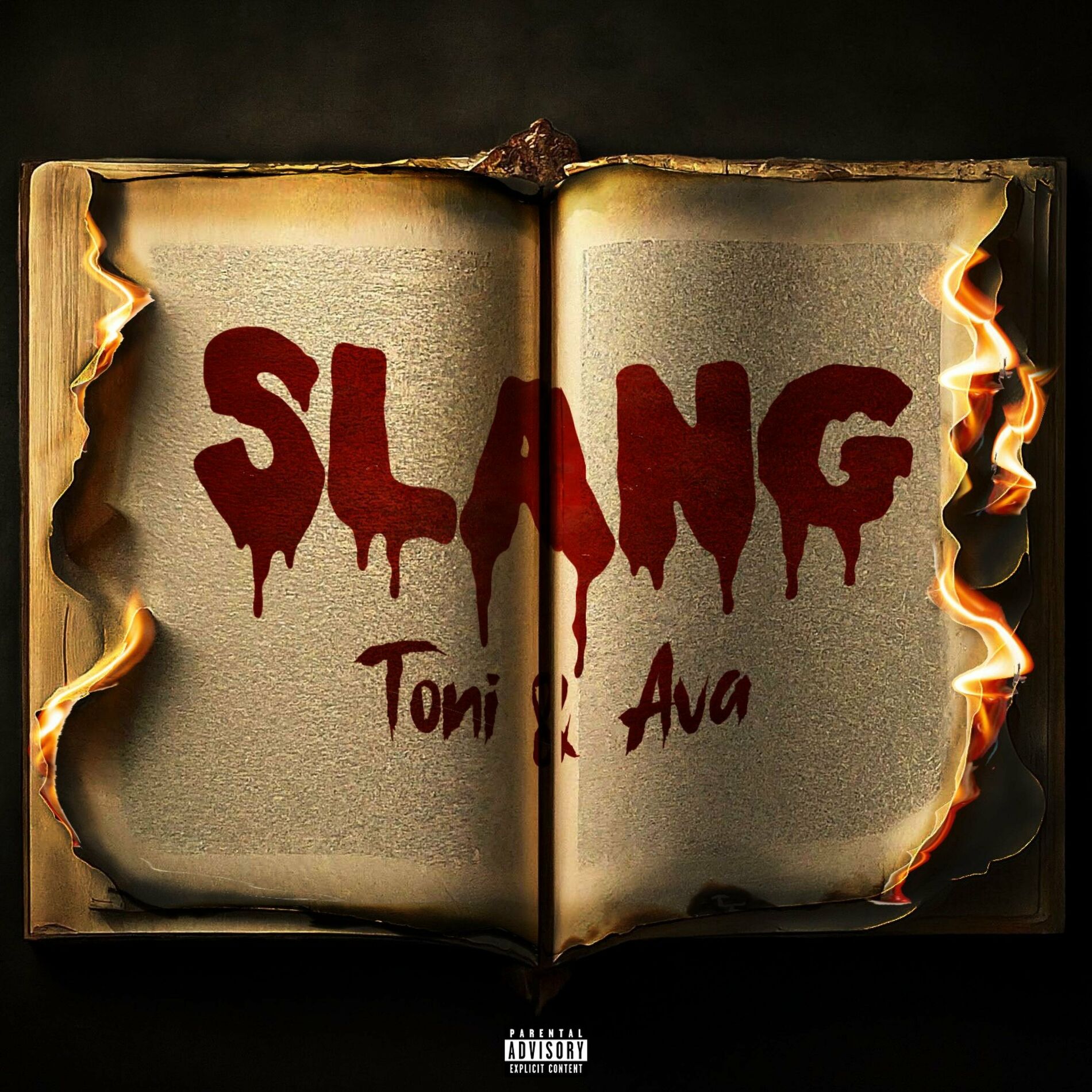 Album cover of SLANG