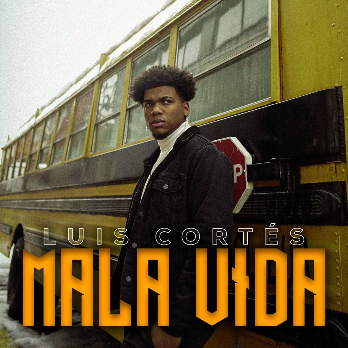 Album cover of Mala Vida