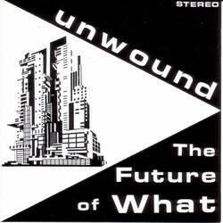 Cover of The Future of What