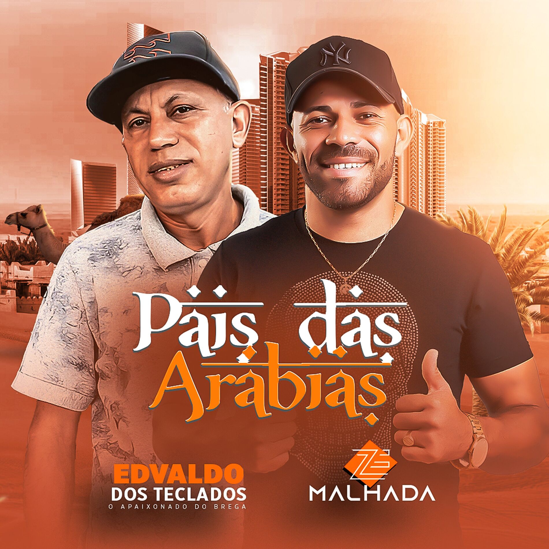 Album cover of País Das Arábias