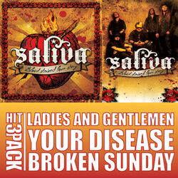 Cover of Ladies and Gentlemen Hit Pack