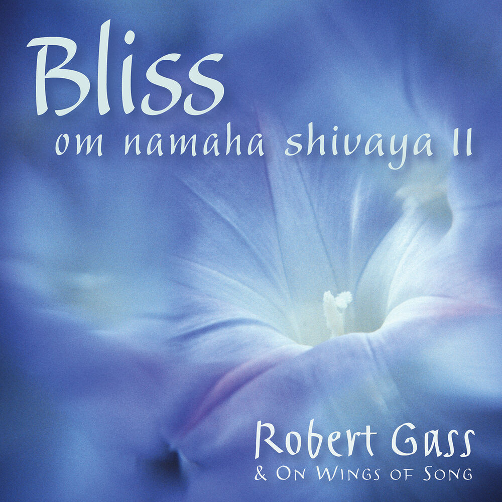 Picture of Bliss: Om Namah Shivaya II