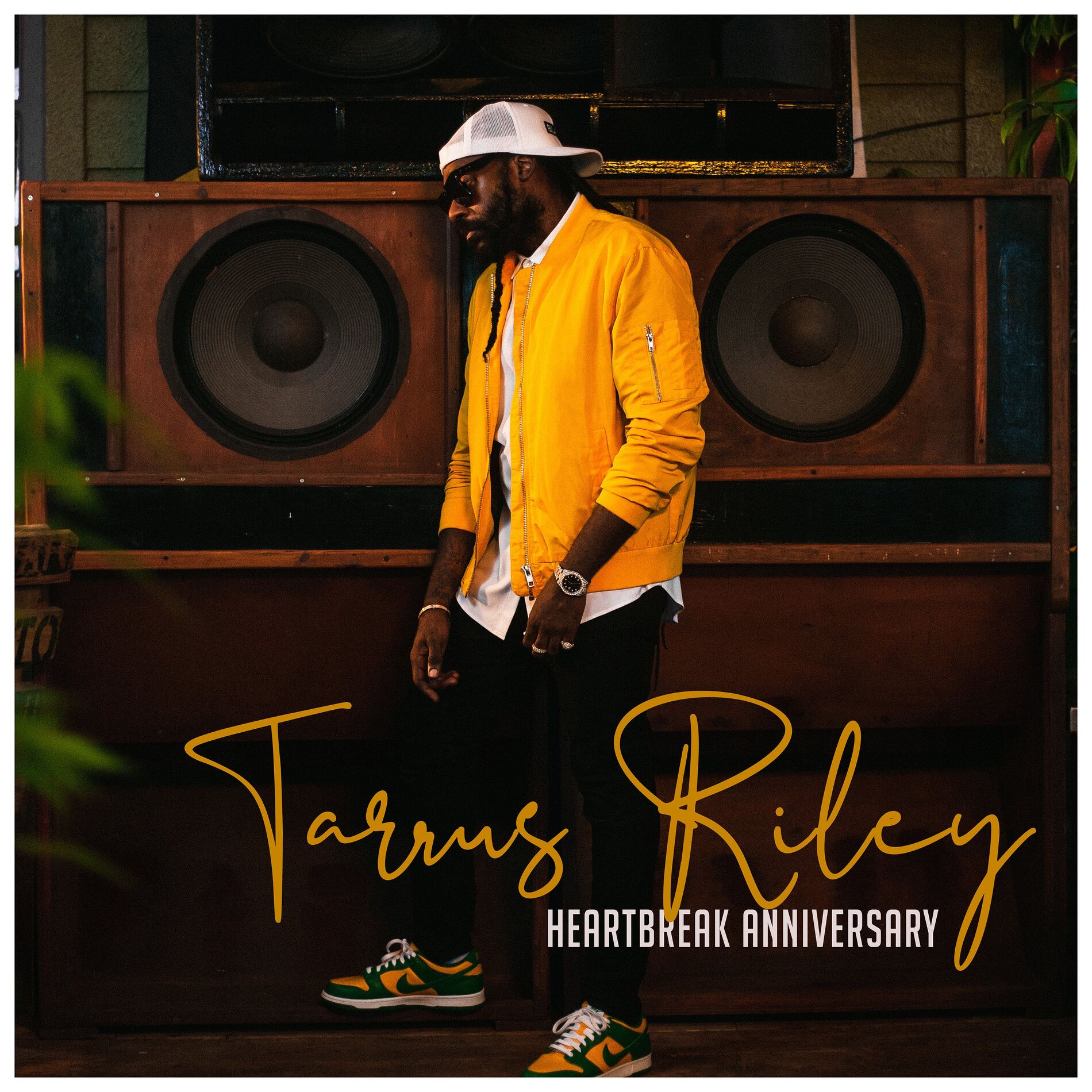 Album cover of Heartbreak Anniversary