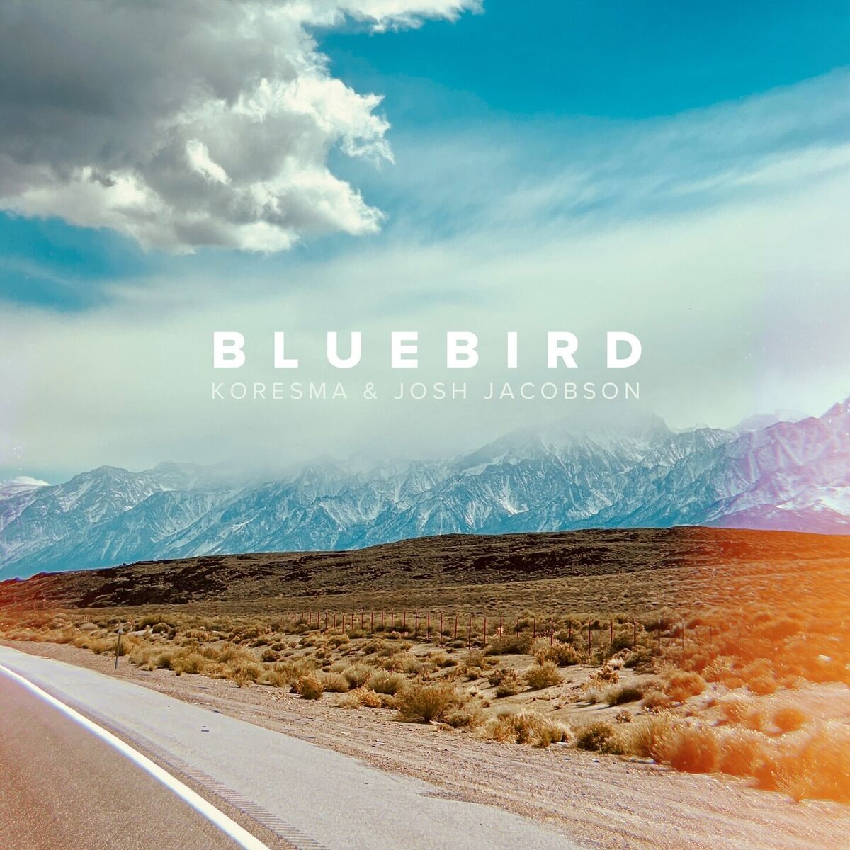 Album cover of Bluebird