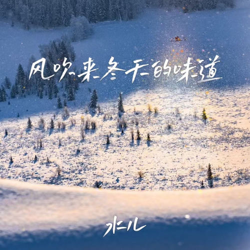 风吹来冬天的味道
