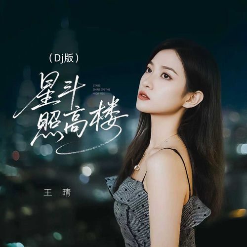 星斗照高楼 (Dj豪大大卡点版)