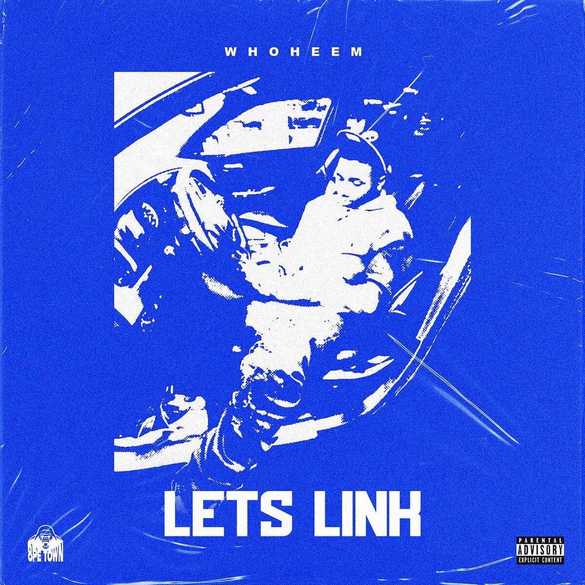 Album cover of Lets Link