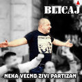 Neka vecno zivi Partizan