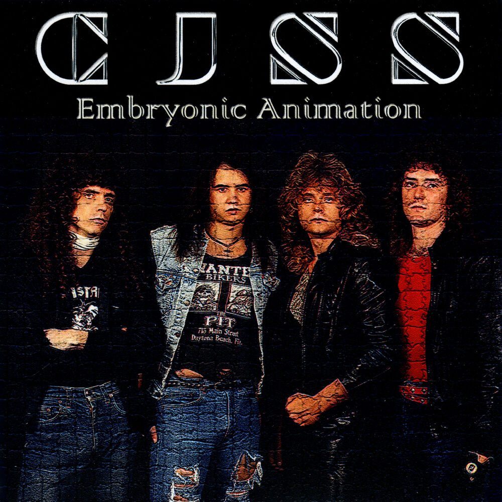 Picture of Embryonic Animation