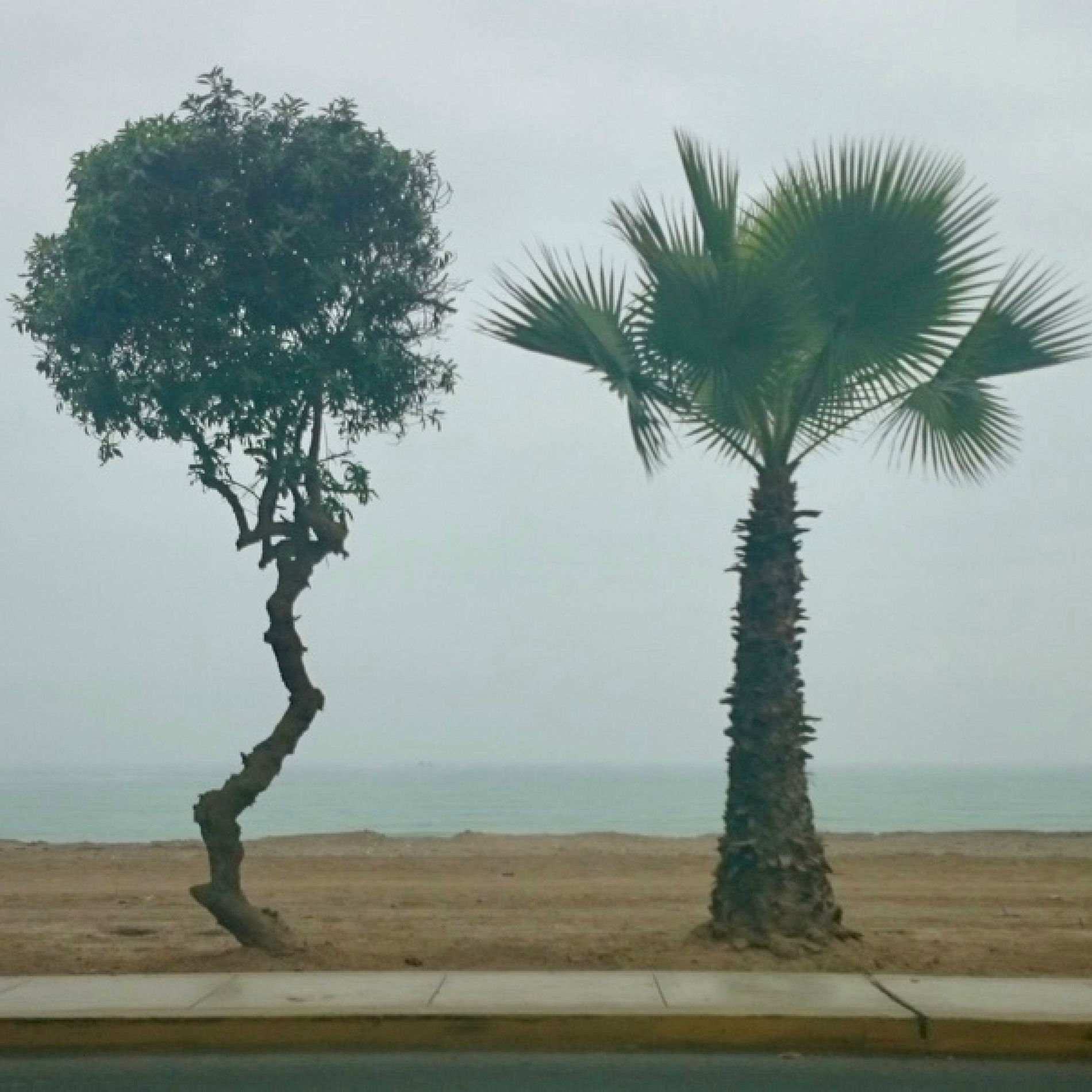 Album cover of There's a life indulging