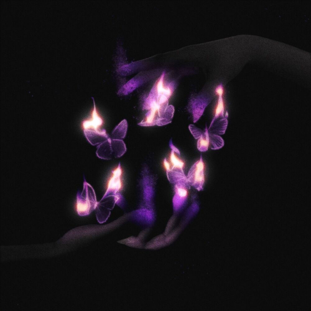 Picture of OUR BURNING BUTTERFLIES