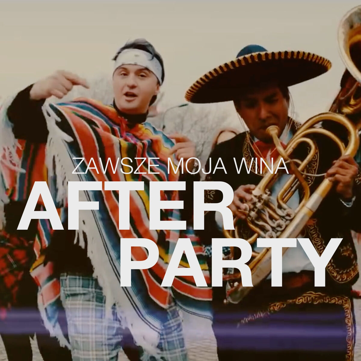 Album cover of Zawsze Moja Wina