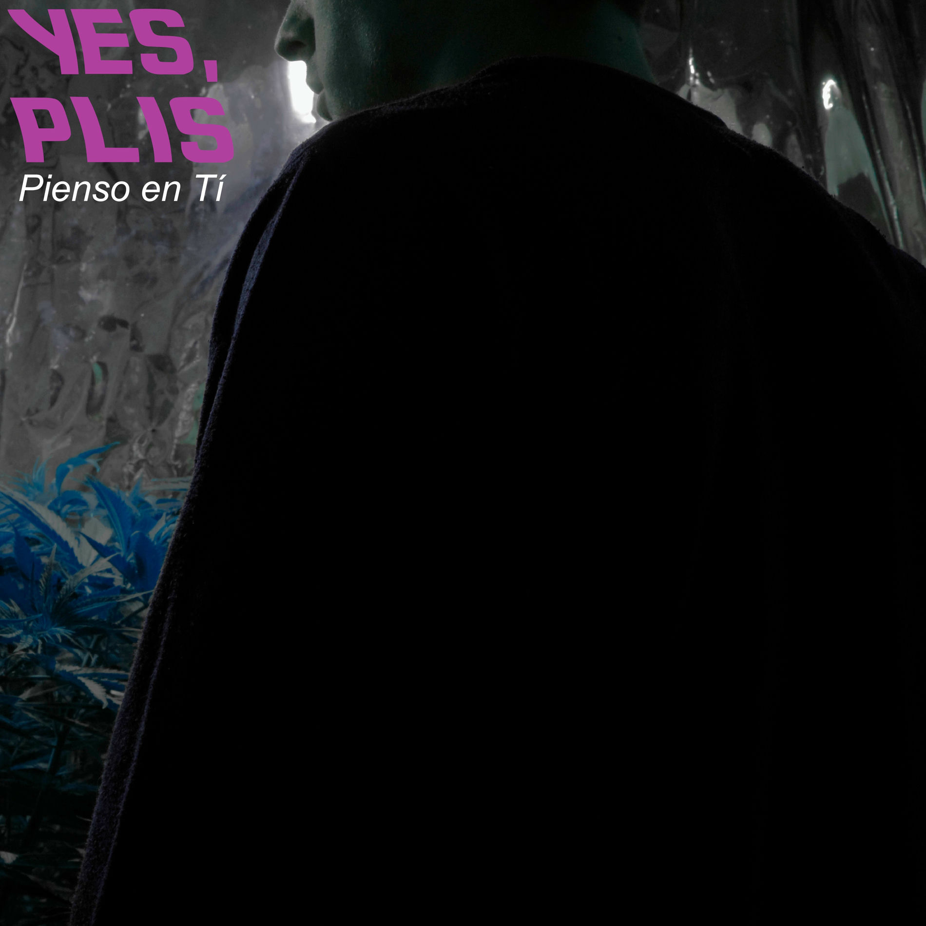Album cover of Pienso En Ti (feat. Plis)
