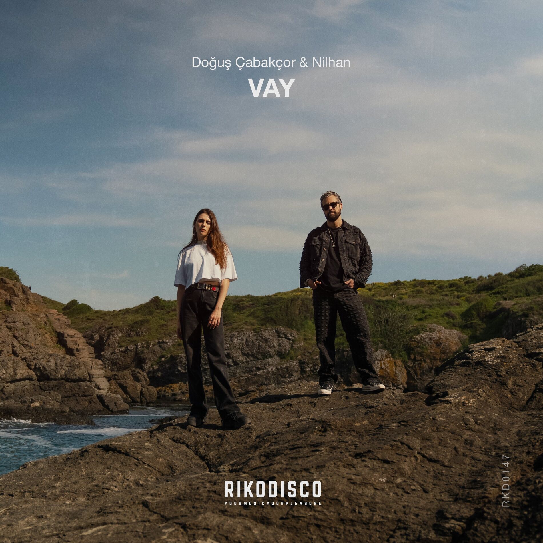 Album cover of Vay