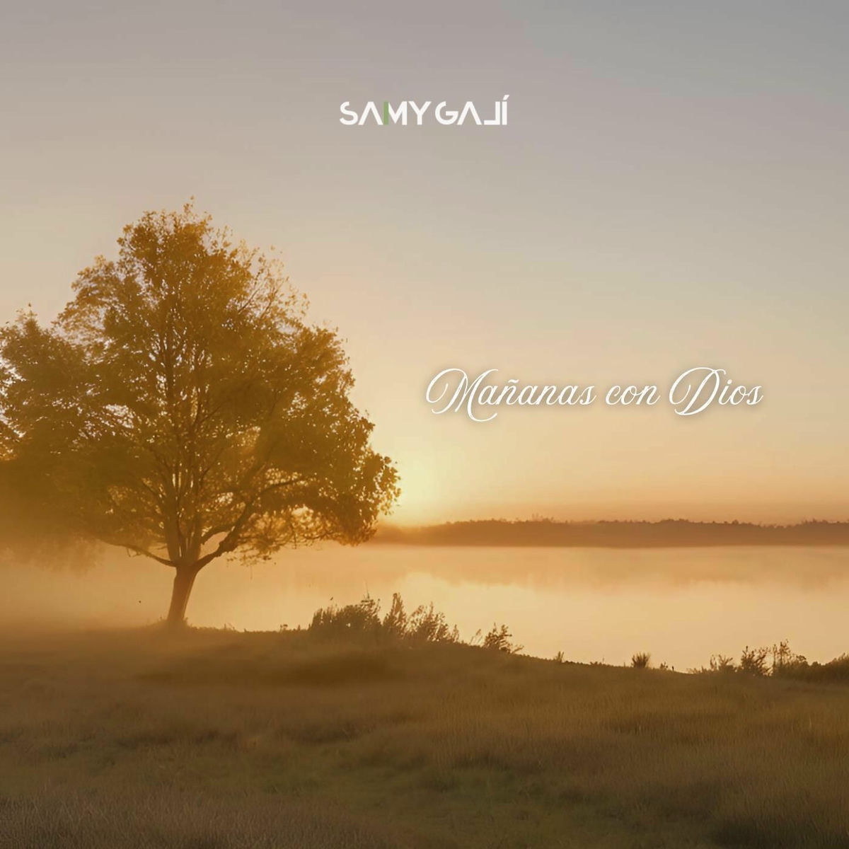 Album cover of Mañanas Con Dios