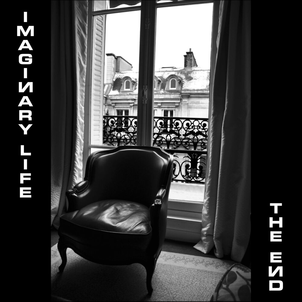 Picture of Imaginary Life