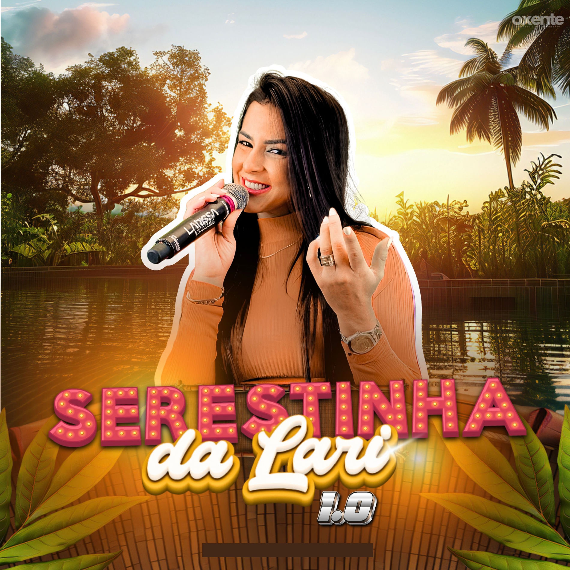 Album cover of Serestinha da Lari 1.0