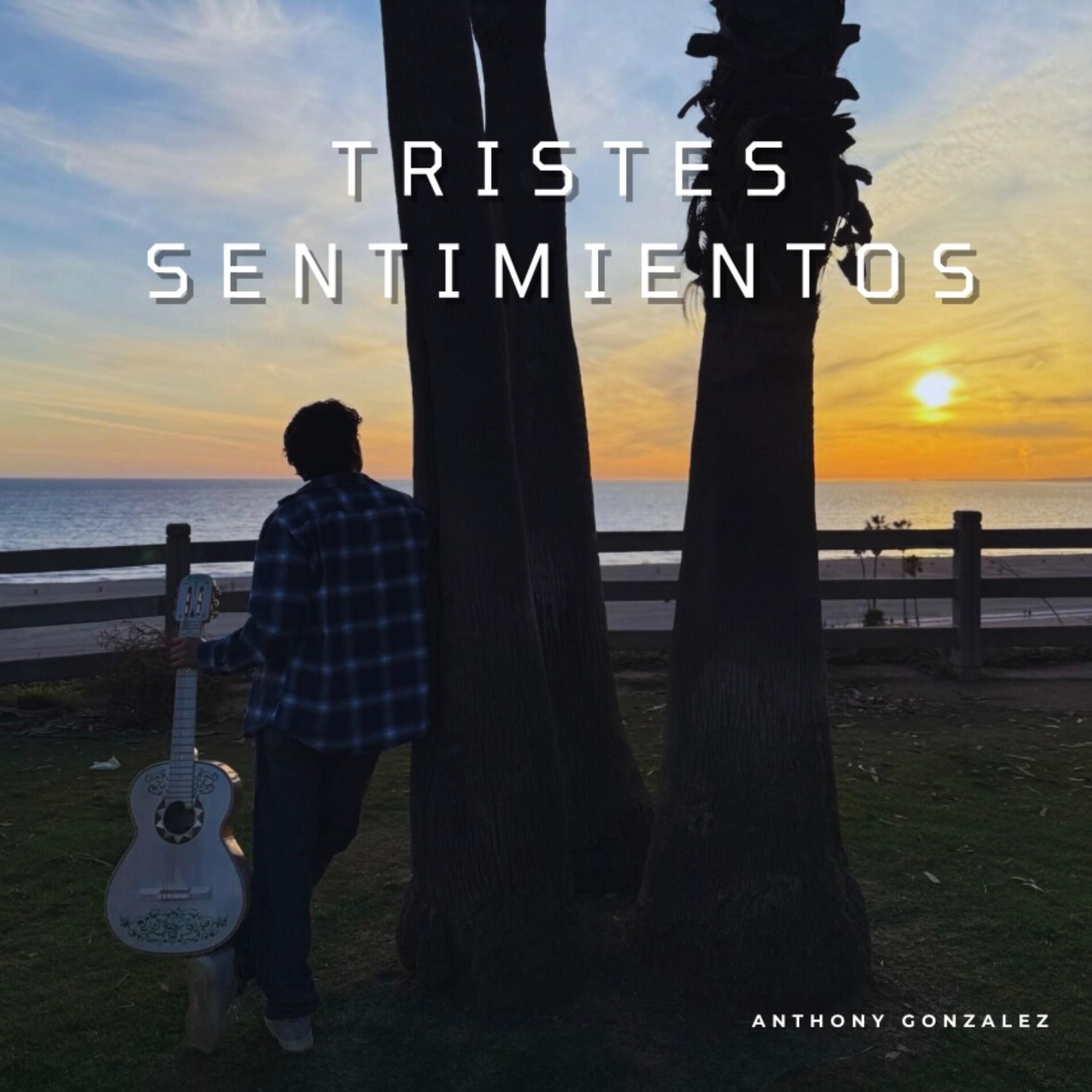 Album cover of Tristes Sentimientos