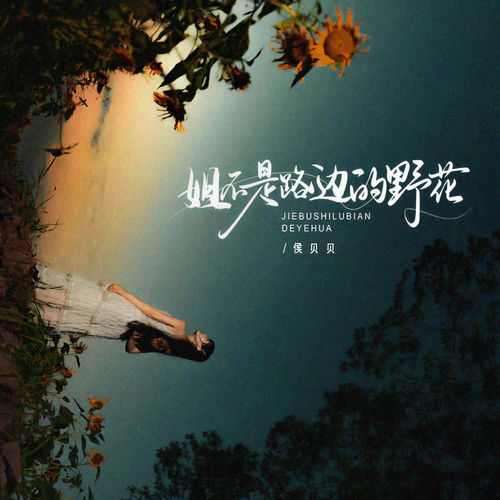 姐不是路边的野花