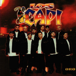Cover of Rutmo Urbano