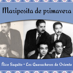 Cover of Mariposita de primavera