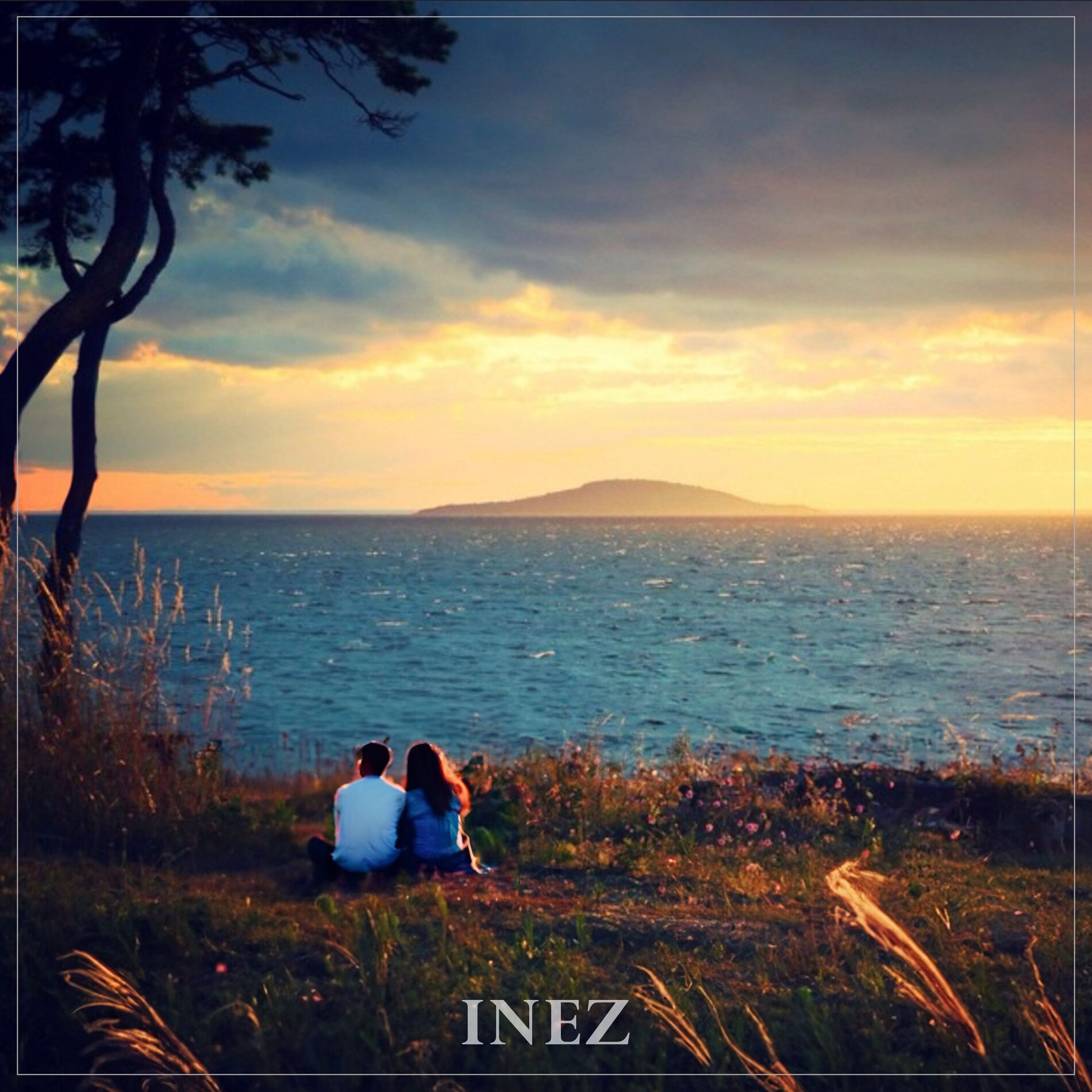 Album cover of Sommar