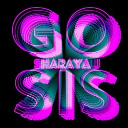 Cover of Go Sis