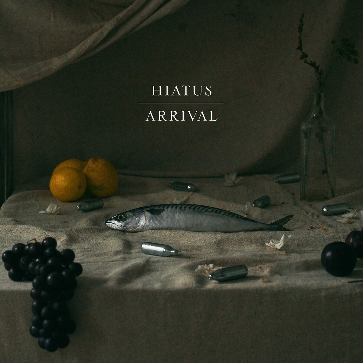 Album cover of Arrival